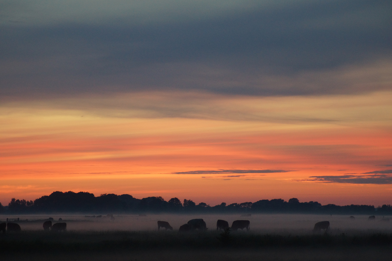 Abendrot in der Marsch