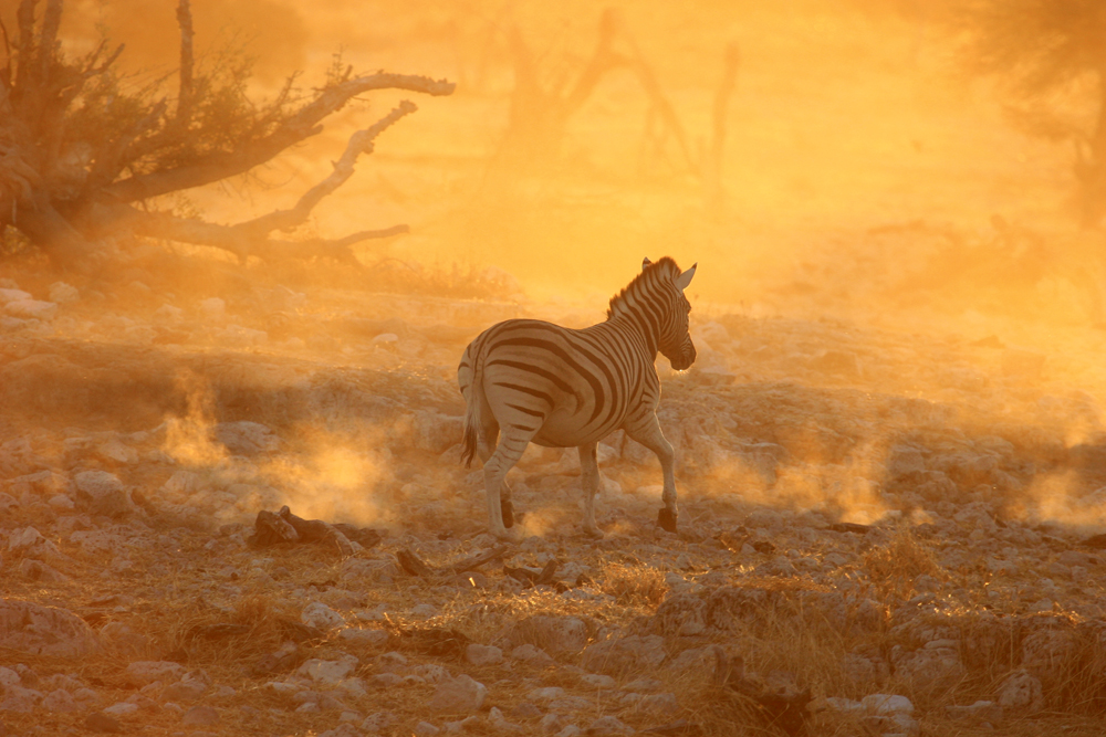 Abendrot in Namibia