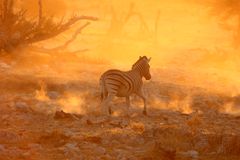 Abendrot in Namibia