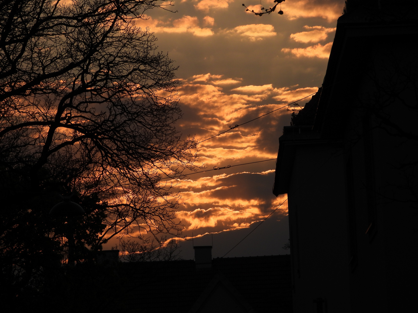 Abendrot in Ottakring: Mausi jetzt wird es Finster !!