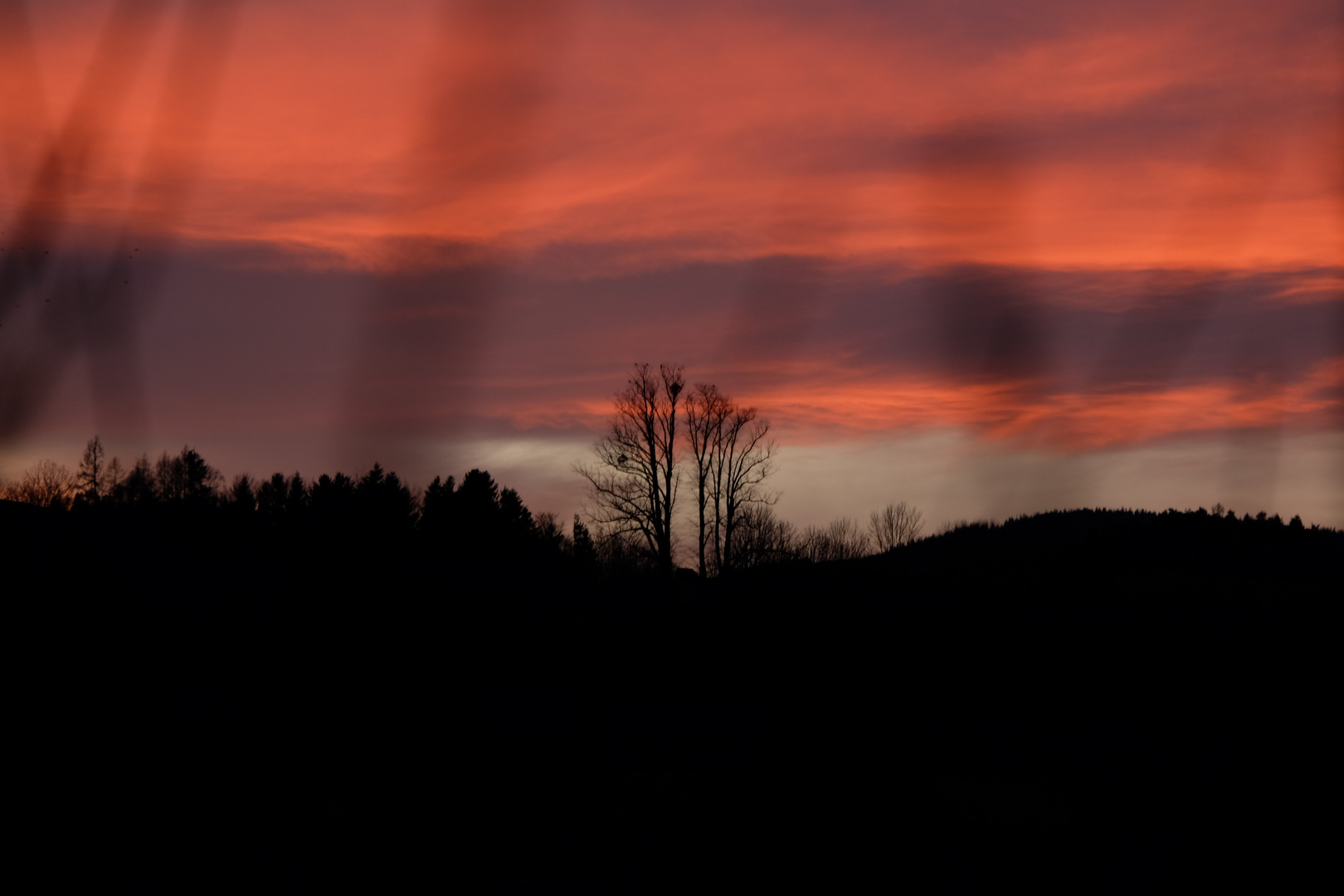 Abendrot mit 2 Bäumen am Horizont