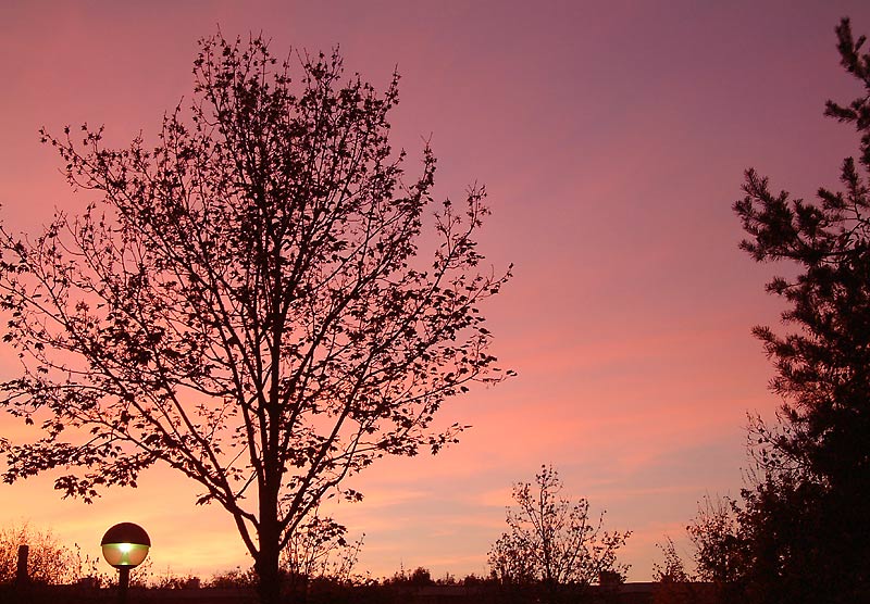 Abendrot mit Straßenlampe