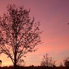 Abendrot mit Straßenlampe