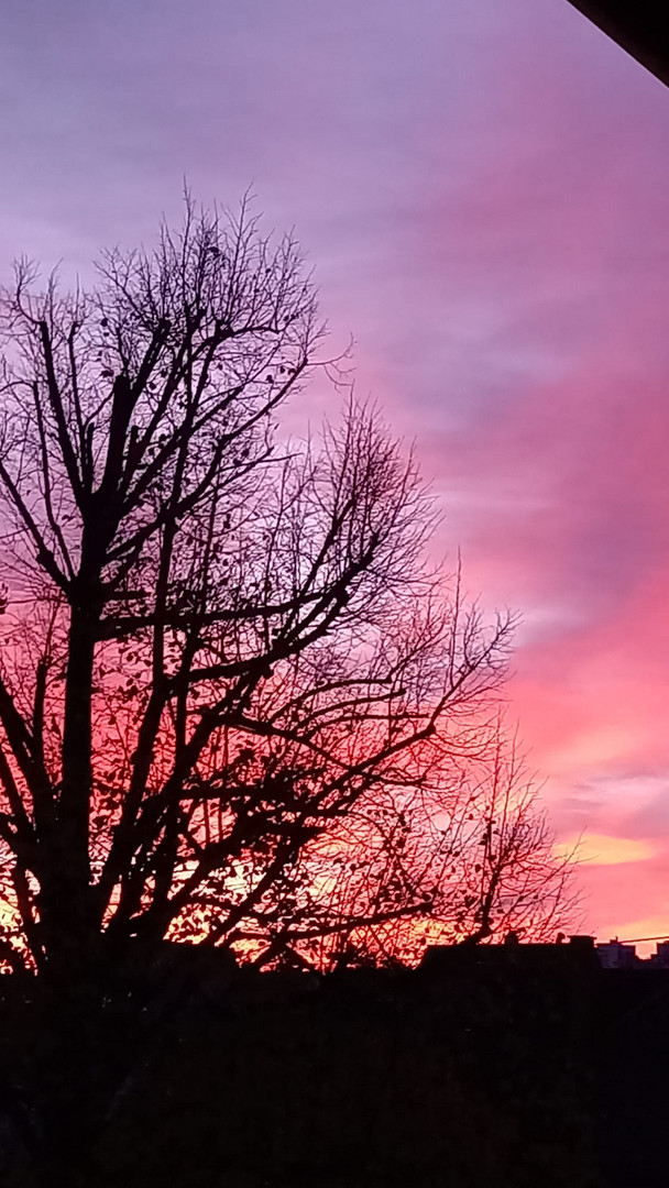 Abendrot Morgen Schön 