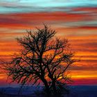 ABENDROT NEUBÜRG FRANKEN