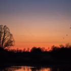 Abendrot - schlecht Wetter droht ....