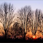 Abendrot Schön Wetter Bot (e) ??