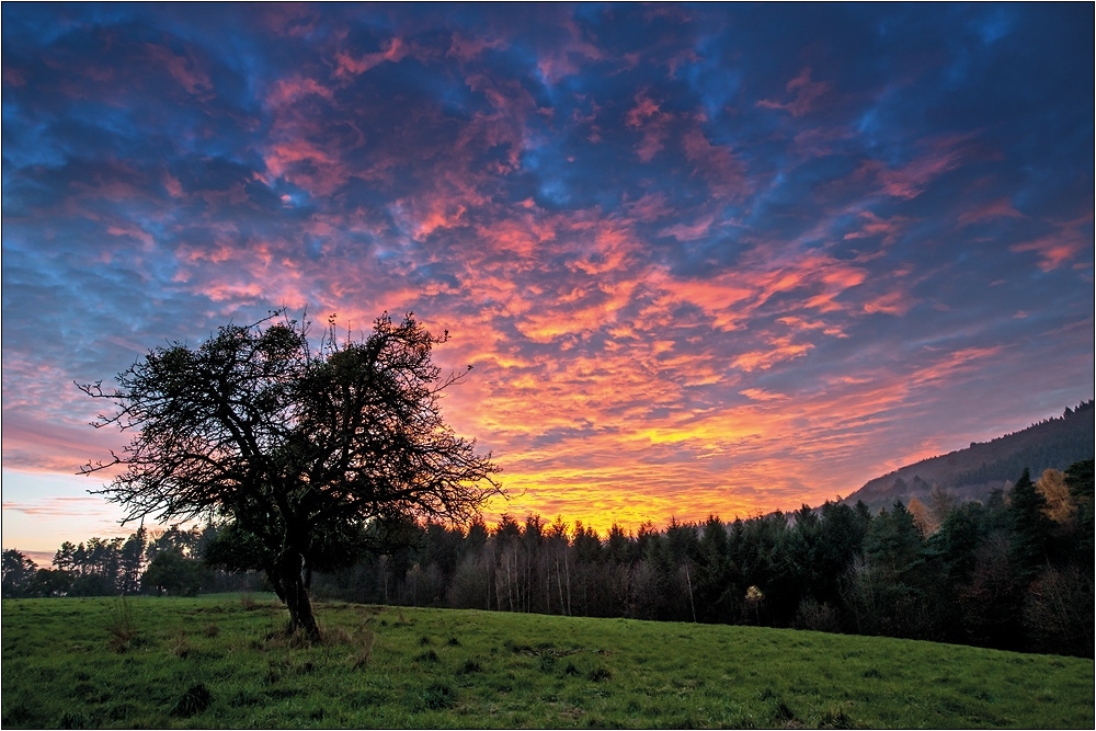 Abendrot über dem Litzelholz