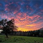 Abendrot über dem Litzelholz