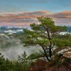 Abendrot über dem Pfälzerwald