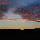 Abendrot über dem Wald