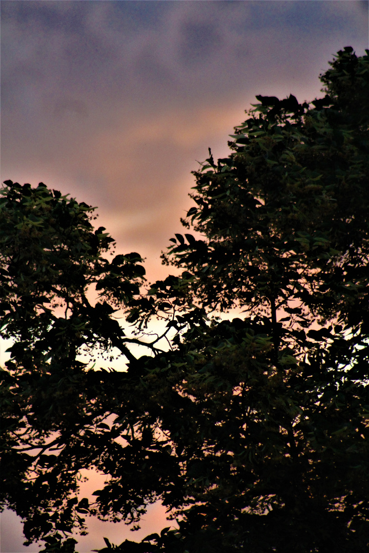 Abendrot über der Stadt