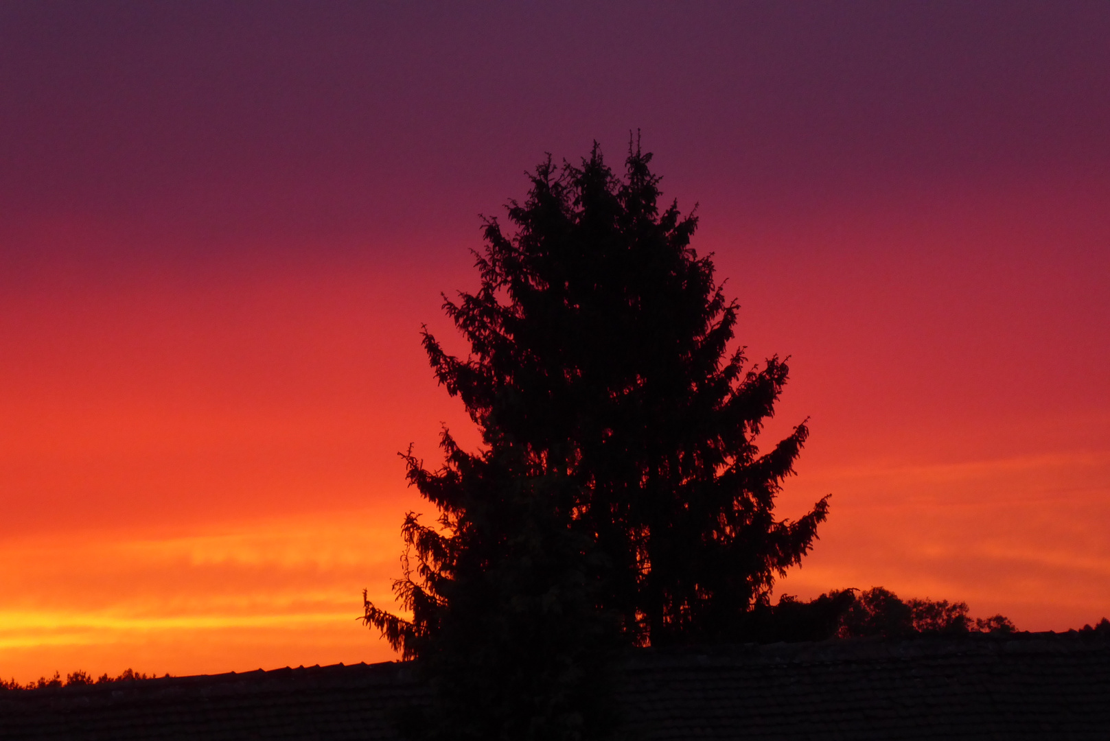 Abendrot über Reetz