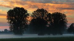 Abendrot und Bodennebel im Biedensand