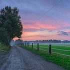 Abendrot und Nebel am Goldnebelhof; Oberhavel