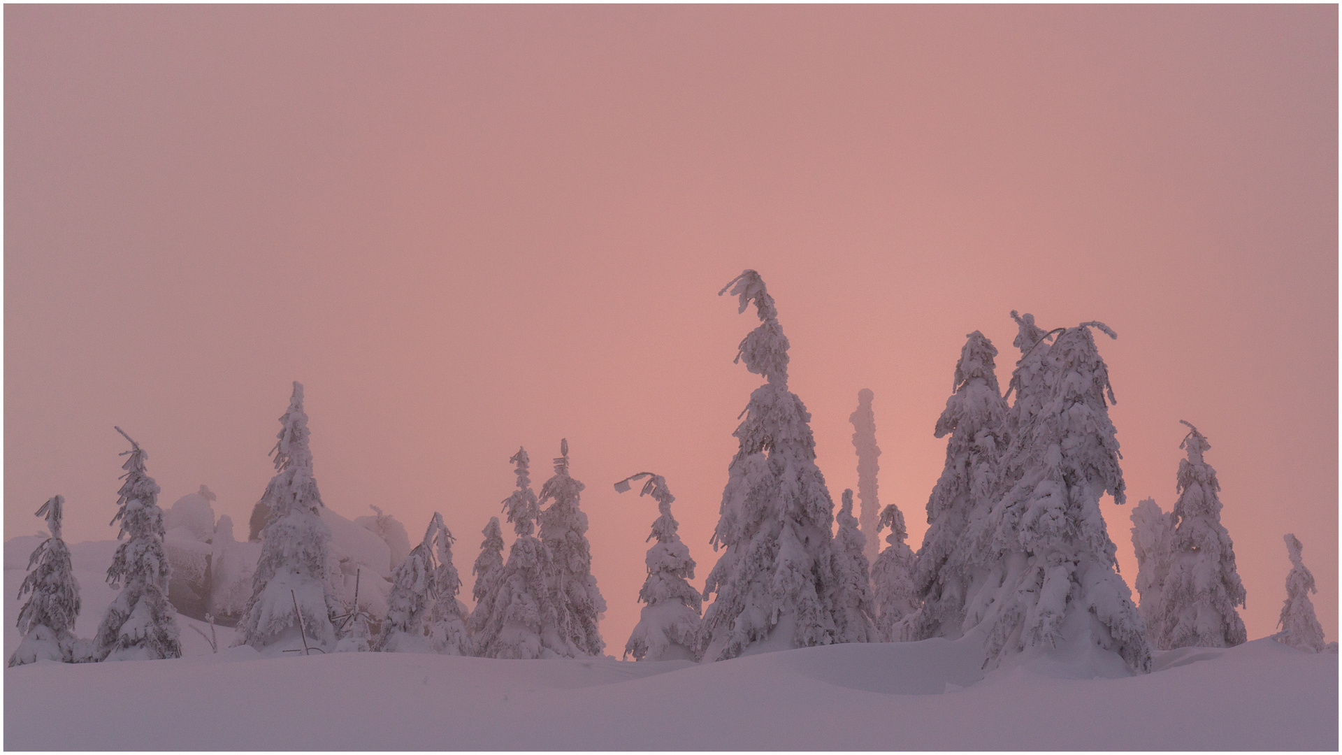 Abendrot und Winterweiß