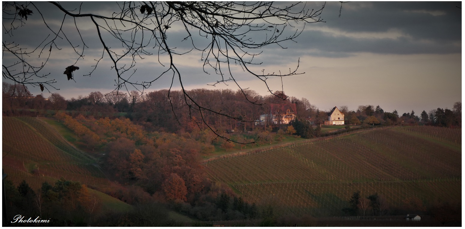 Abendrot von heute (24.11.21) (II)