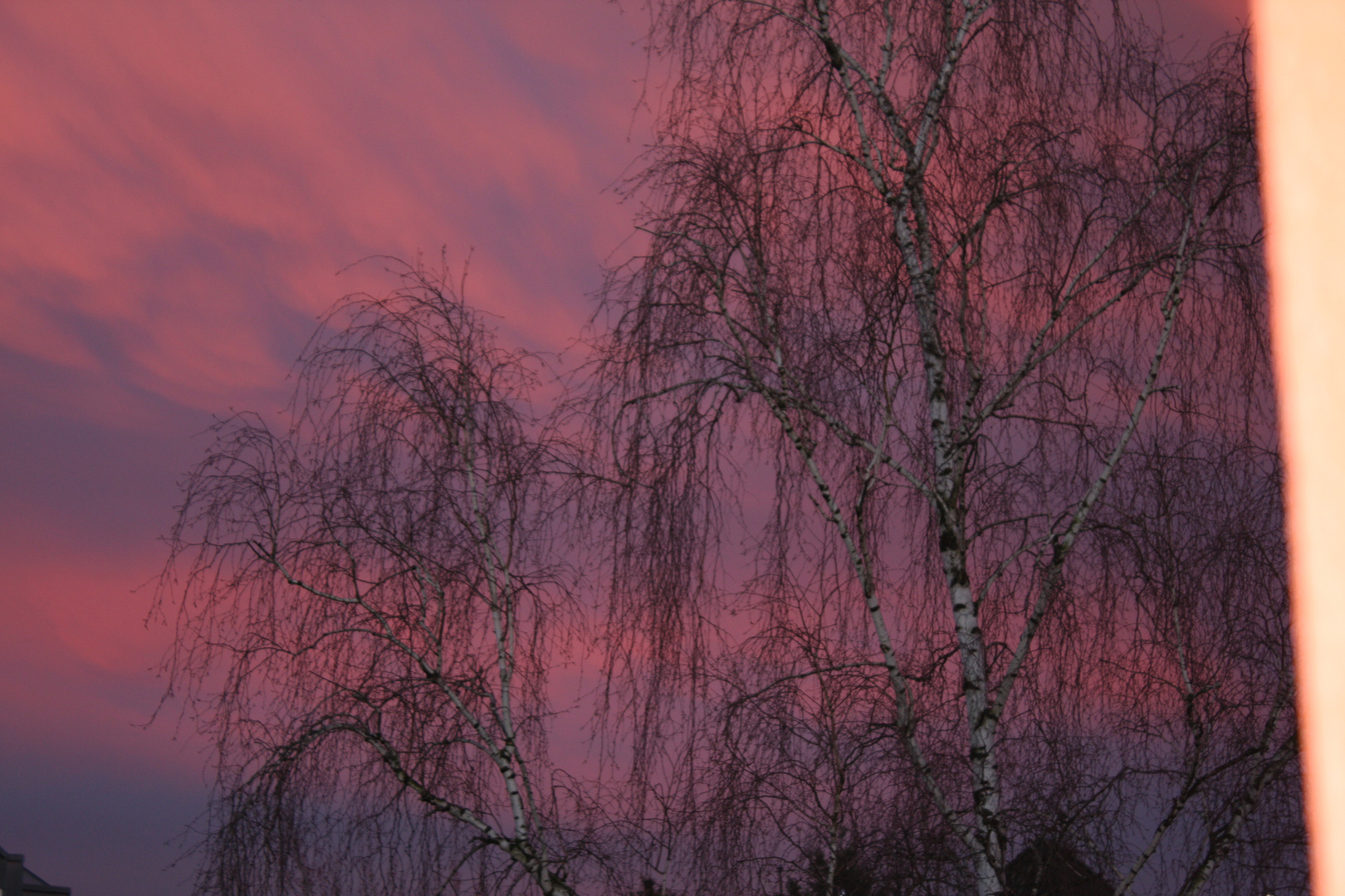 Abendrot vor meinem Fenster