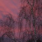 Abendrot vor meinem Fenster