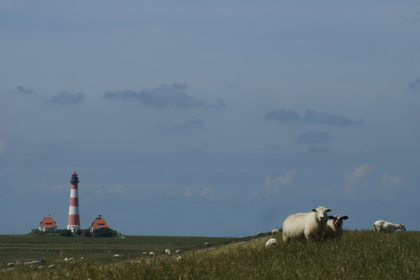 Abendrotin der Marsch