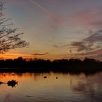 Abendruh am Spektsee