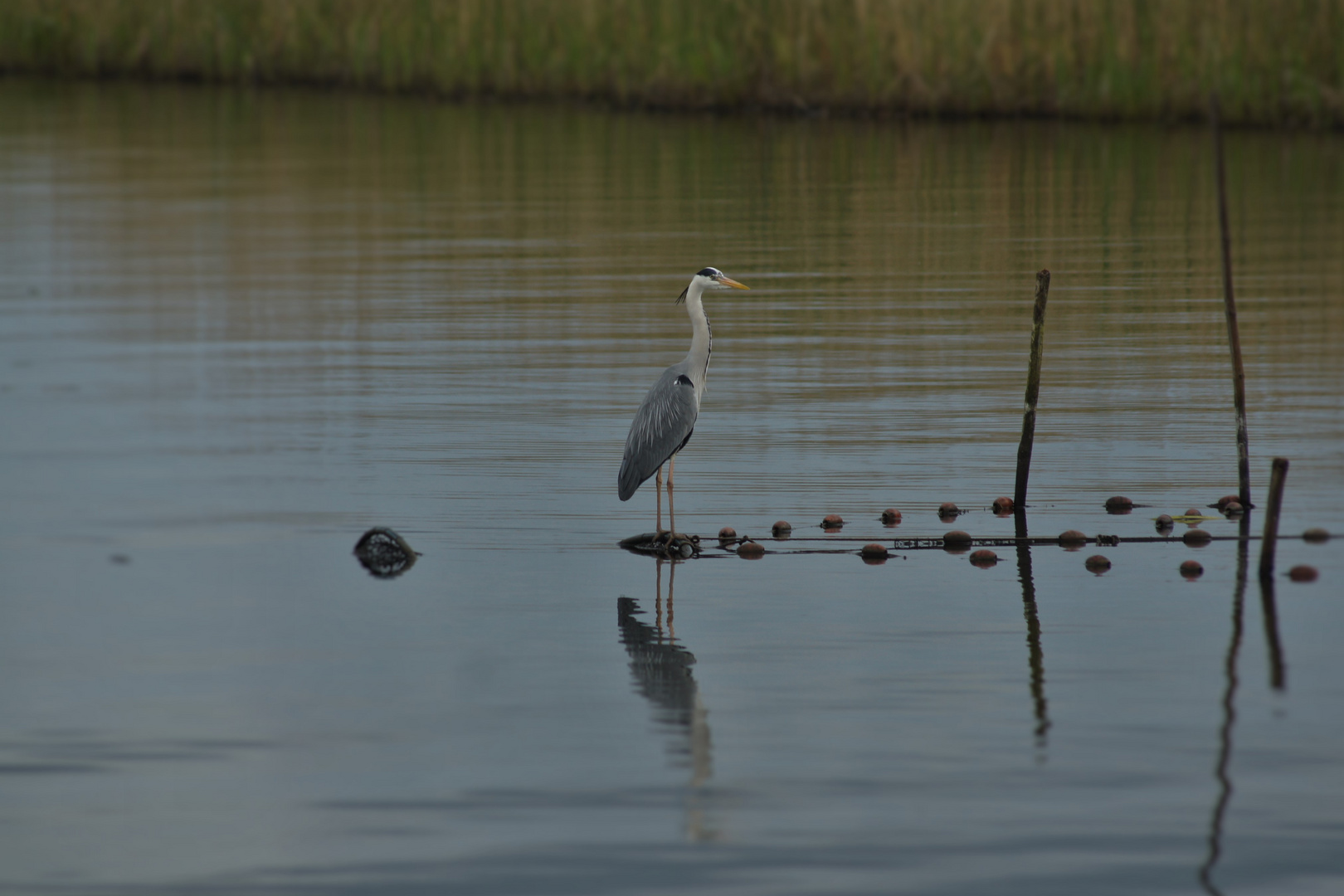 Abendruhe