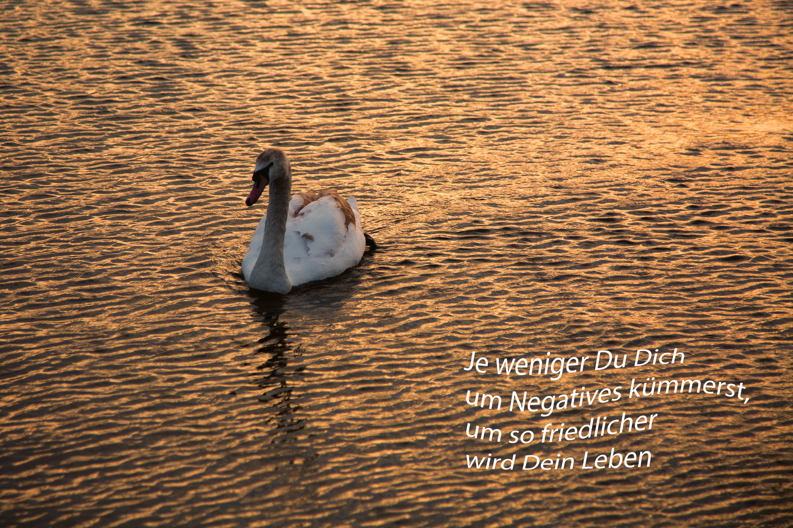 ... Abendruhe ...