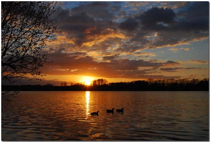 Abendruhe am See