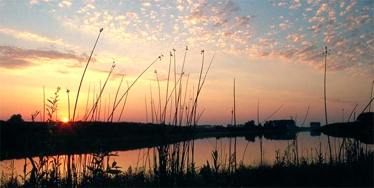 Abendruhe an der Rosau