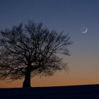 Abendruhe auf der Langen Rhön