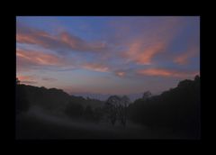 Abendruhe nach dem Mai- Gewitter... - oder: wie der Nebel ins Tal hinunterfließt...