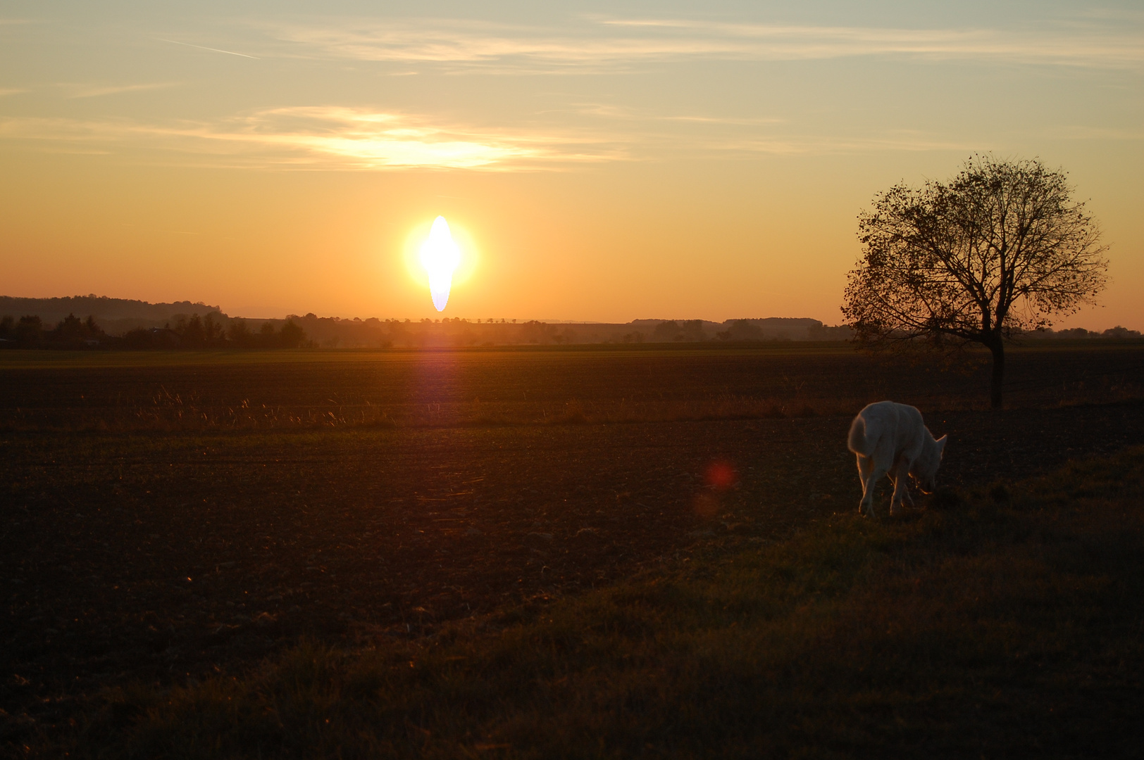 Abendrunde