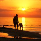 Abendrunde am Strand