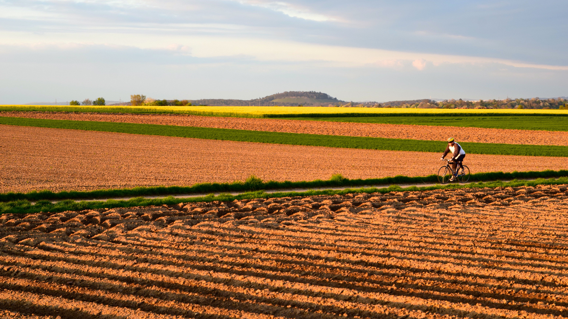 Abendrunde im Feld