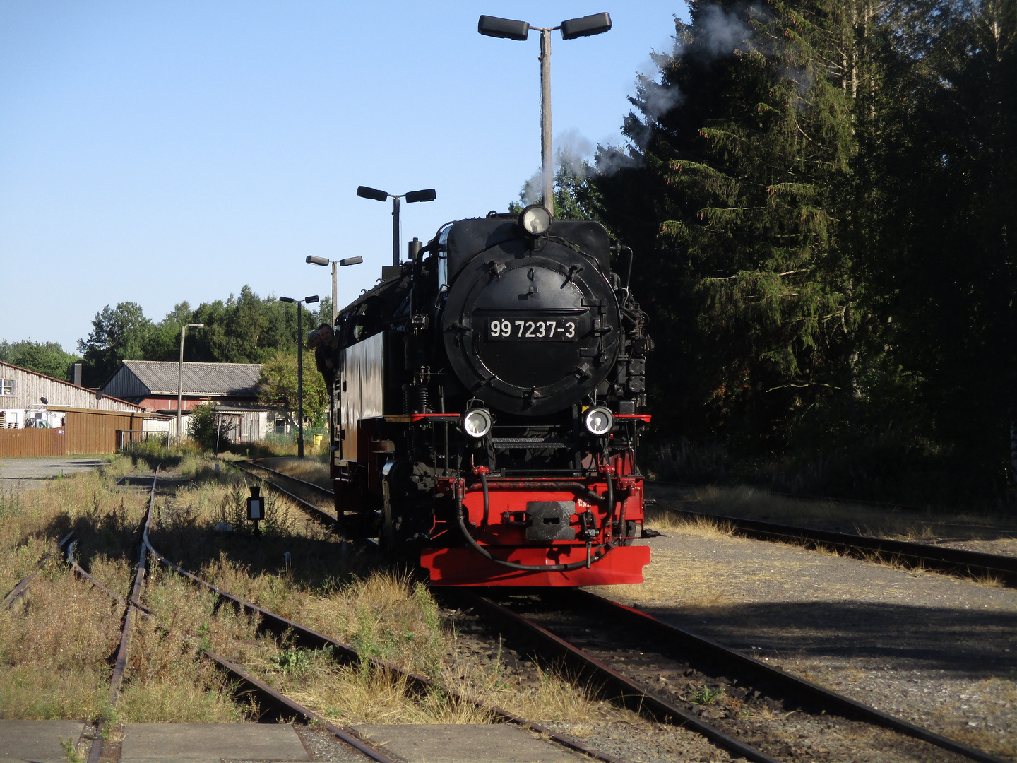 Abendrunde mit der Selketalbahn  5.