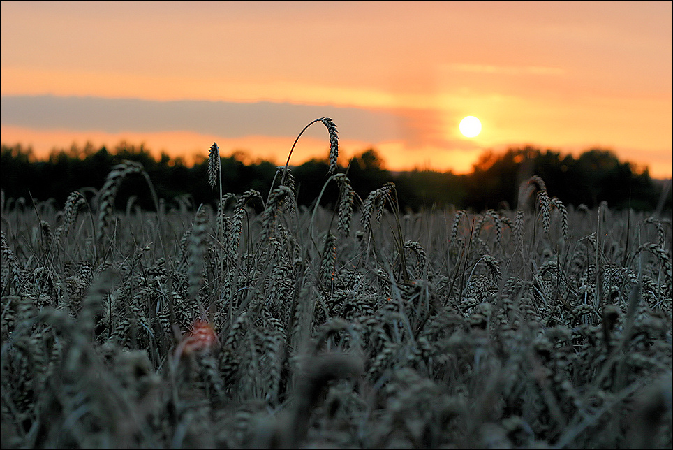 abends ...