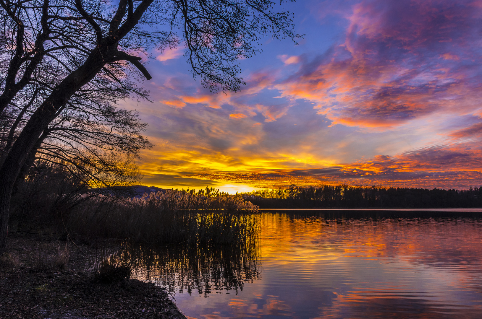 Abends am Abtsee