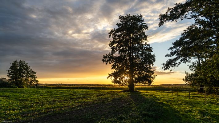 Abends am Achterwasser #1
