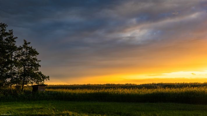 Abends am Achterwasser #2