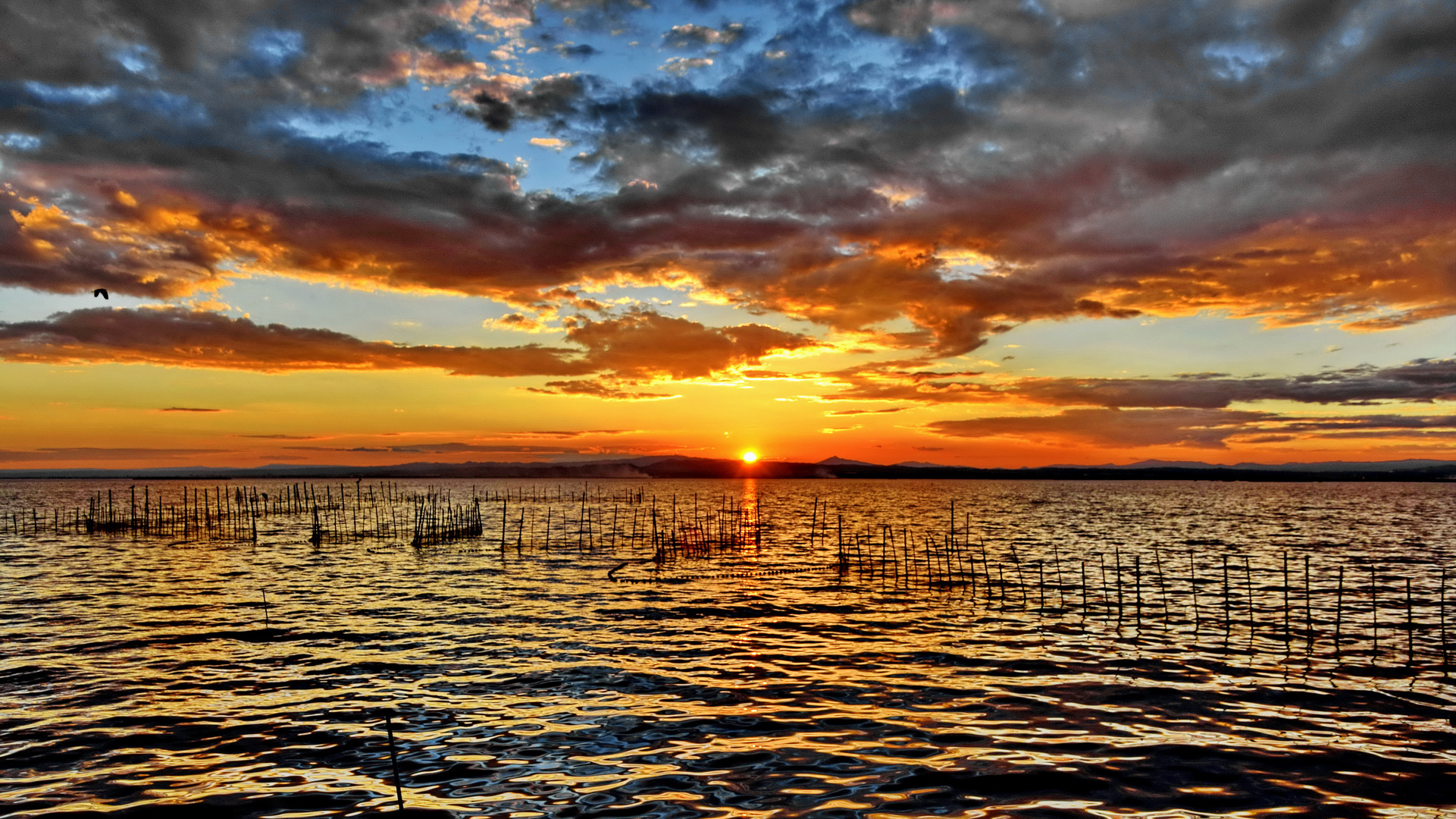 Abends am Albufera See