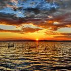 Abends am Albufera See