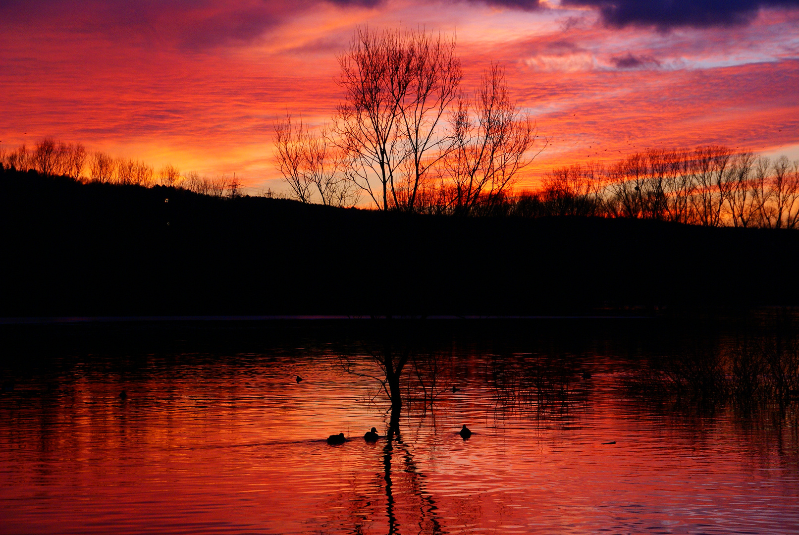 ..abends am Allner See