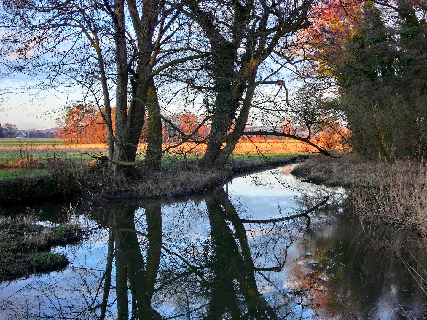 Abends am alten Teich