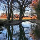 Abends am alten Teich