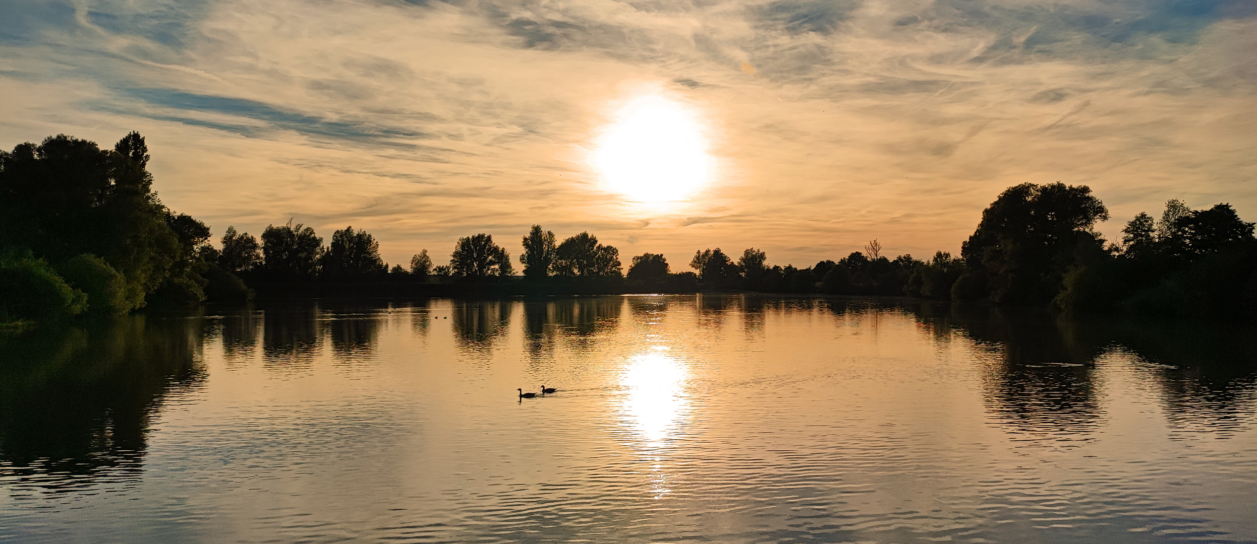 "ABENDS AM ALTMÜHLSEE" Standort bei Muhr