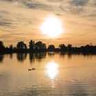 "ABENDS AM ALTMÜHLSEE" Standort bei Muhr