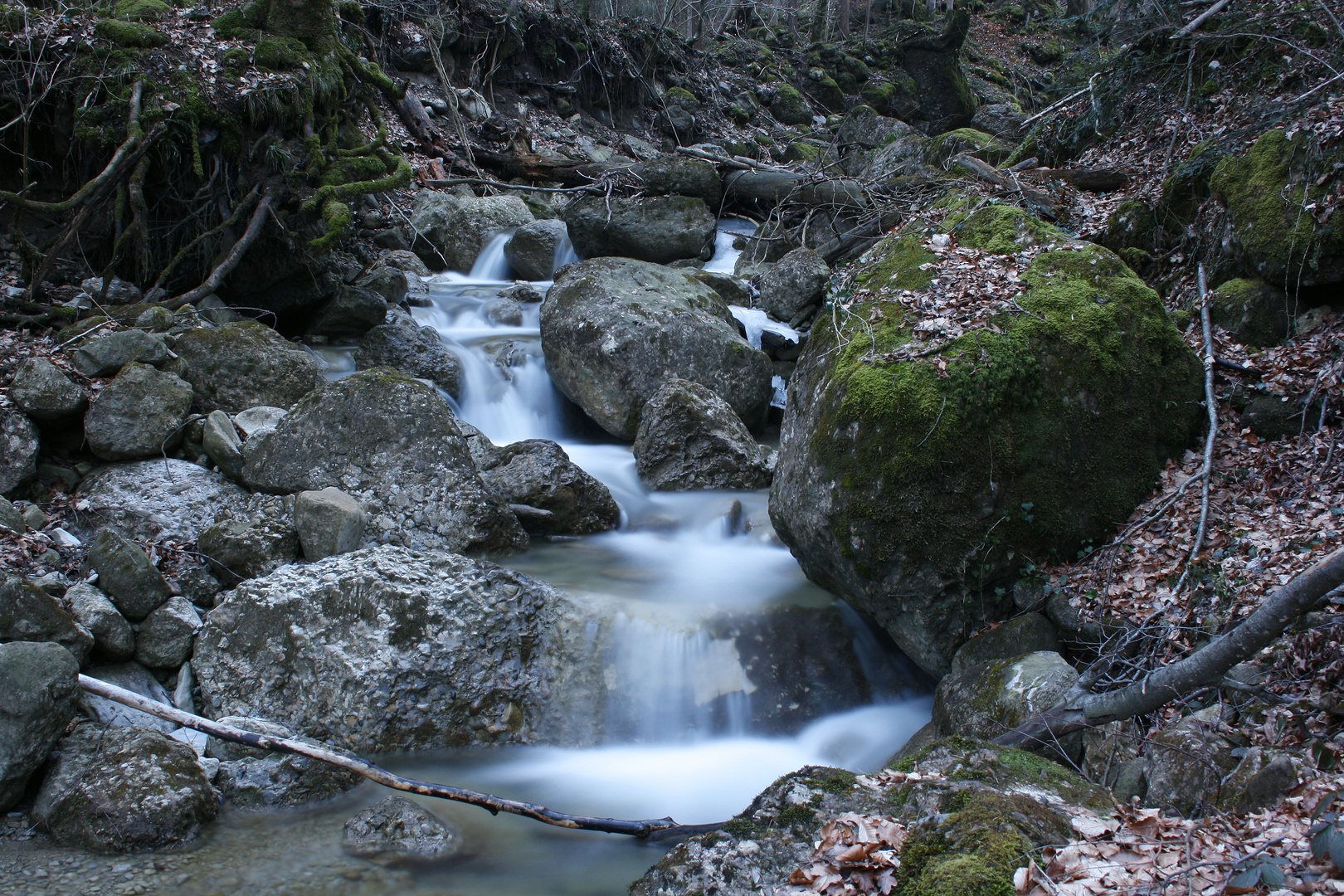 Abends am Bach