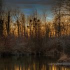 Abends am Baggersee Linkenheim