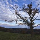 Abends am Berken