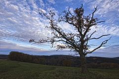 Abends am Berken